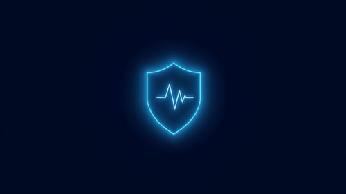 Website Care Plan